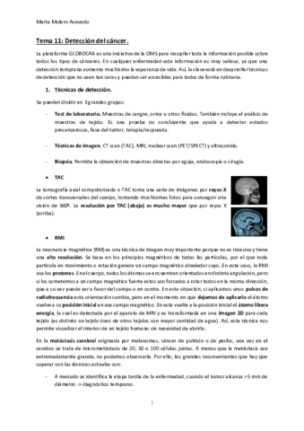 Tema-11.pdf