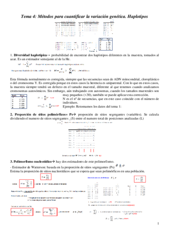 TEXTO-GEVO-temas-4-a-16.pdf