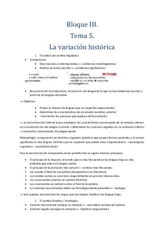 Tema-5-linguistica.pdf