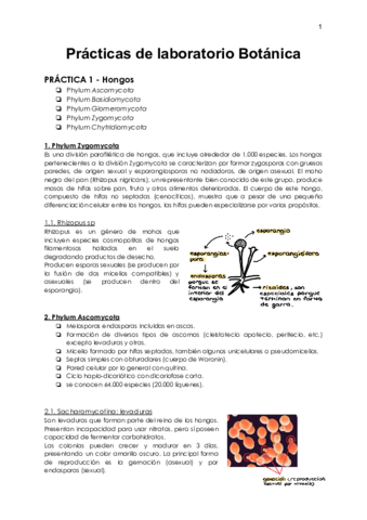 Practicas-laboratorio.pdf