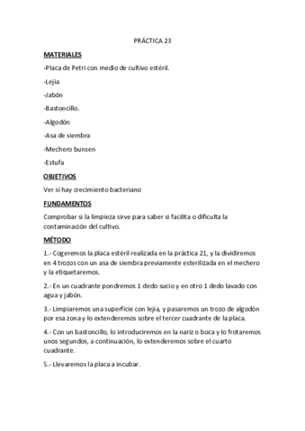 PRACTICA-23.pdf