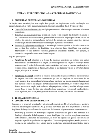 TEMA-IIIB.pdf