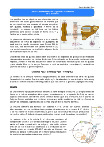 TEMA-8.pdf