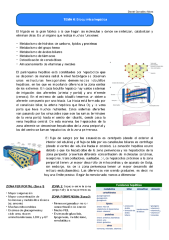 TEMA-6.pdf