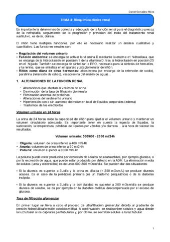 TEMA-4.pdf