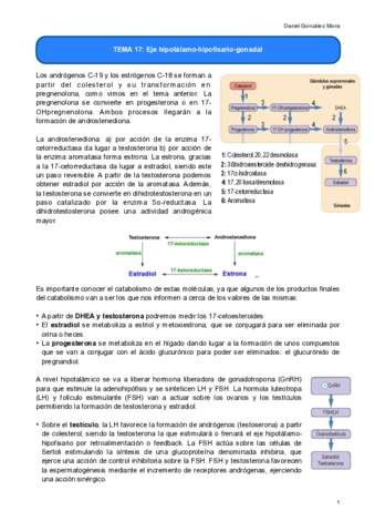 TEMA-17.pdf