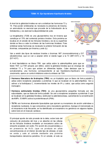 TEMA-15-.pdf