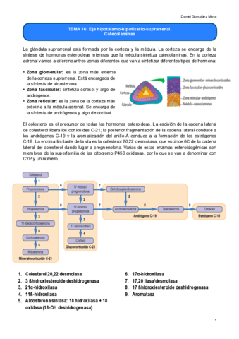 TEMA-16.pdf