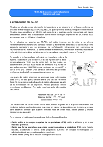 TEMA-12.pdf