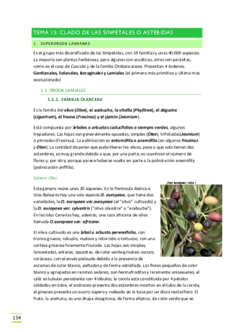 TEMA-15 Astéridas.pdf