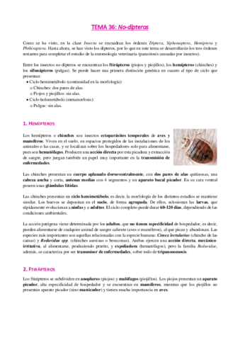 Tema-36-No-dipteros.pdf