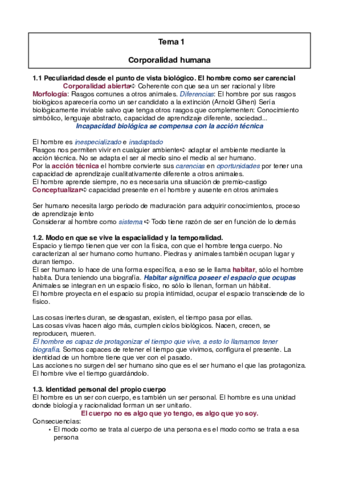 Primer Semestre (Temas 1-8).pdf