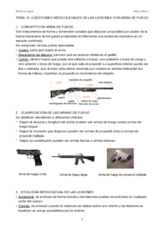 tema-12-pdf.pdf