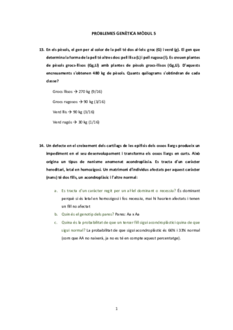 Problemesmodul-5.pdf