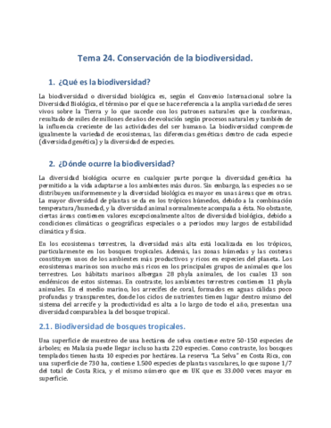 Tema-24.pdf