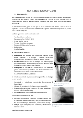 Tema-24.pdf