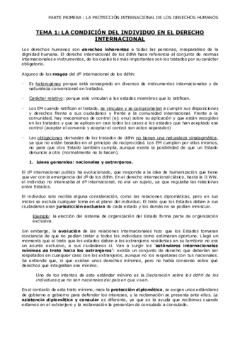 Apuntes-HUMANITARIO.pdf