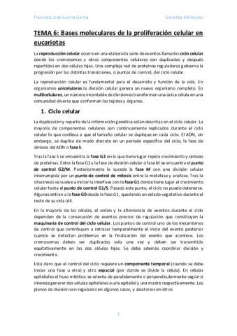Tema-6.pdf