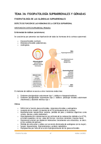 Temas-36-38.pdf