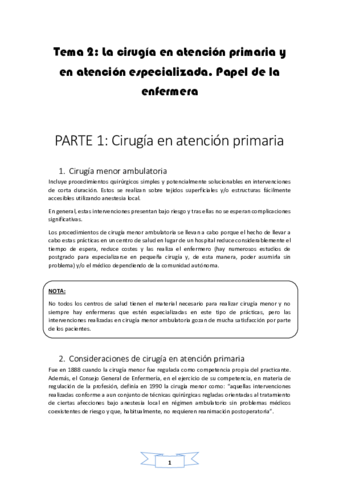 Tema-2.pdf