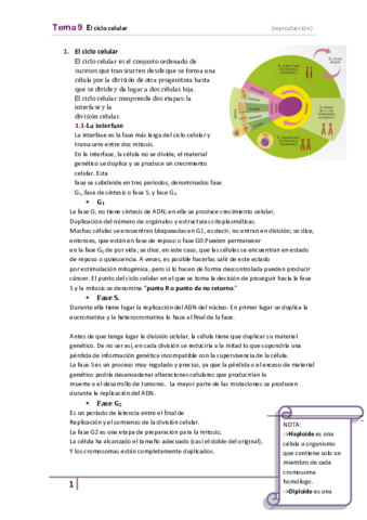tema-9-ciclo-celular.pdf
