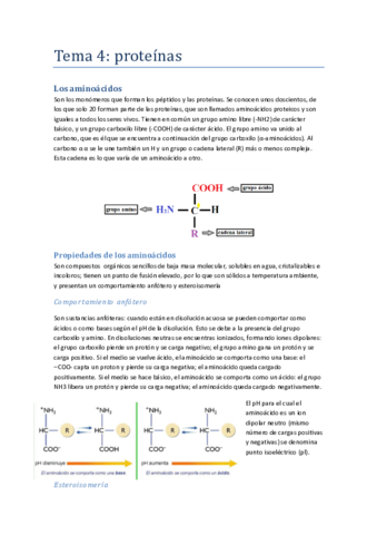 Tema-4-proteinas.pdf