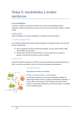 Tema-5-nucleotidos.pdf