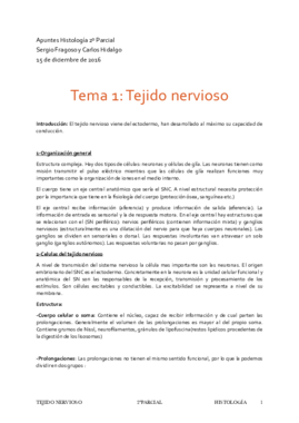 Tema 12-Tejido Nervioso.pdf