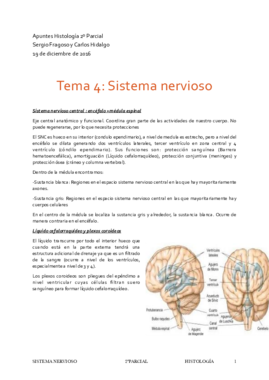 Tema 4-Sist Nervioso.pdf