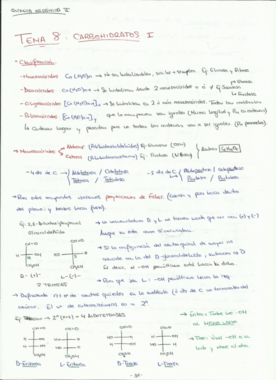 Resumen Carbohidratos.pdf