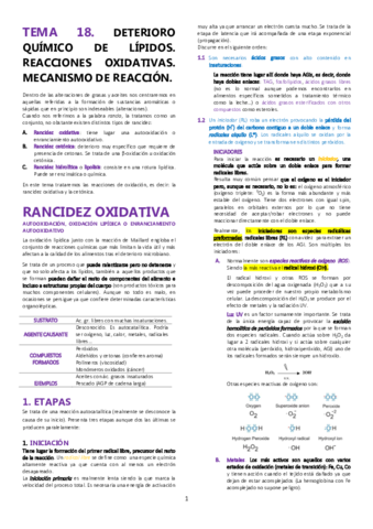 TEMA-18.pdf