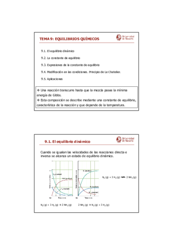 TEMA 9 Equilibrios químicos.pdf