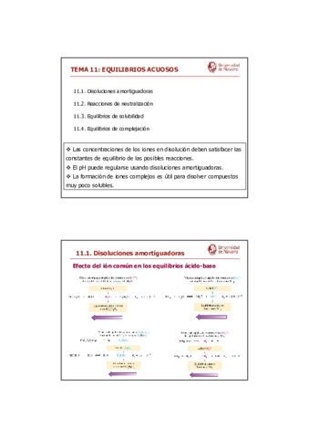 TEMA 11 Equilibrios acuosos.pdf
