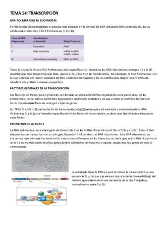 TEMA-14-TRANSCRIPCION.pdf