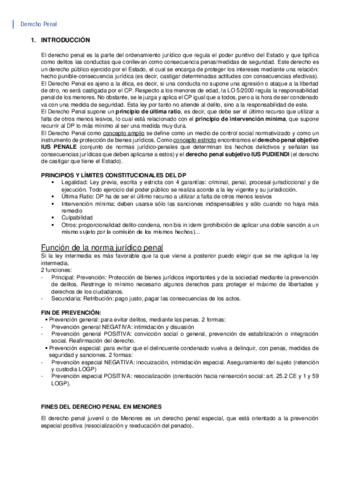 Derecho-Penal.pdf