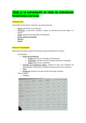 Temario-Redes-Apuntes.pdf