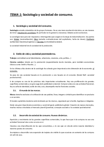 TEMA-1-Resumido-STCI.pdf