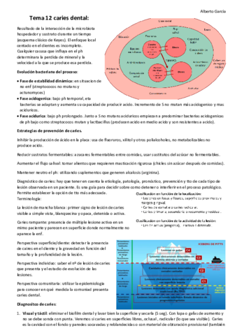 Tema-12-caries-dental.pdf