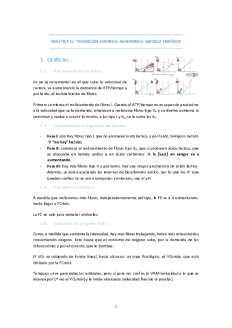 PRACTICA-11-TRANSICION-AEROBICA-ANAEROBICA.pdf