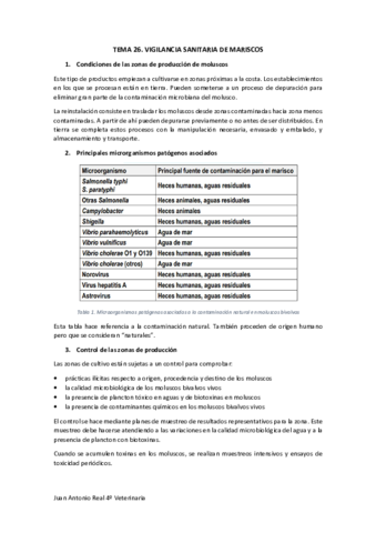 TEMA-26.pdf