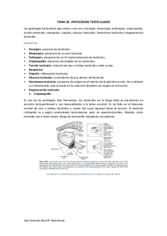 Tema-26.pdf