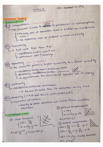 resumen-consumer-theory.pdf