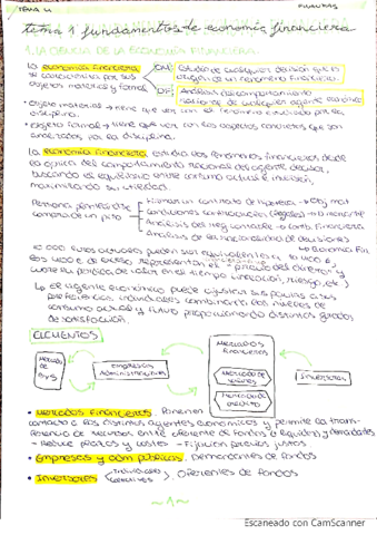 Tema-1-finanzas.pdf