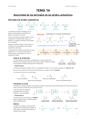 TEMA-14-Derivados-de-acidos.pdf