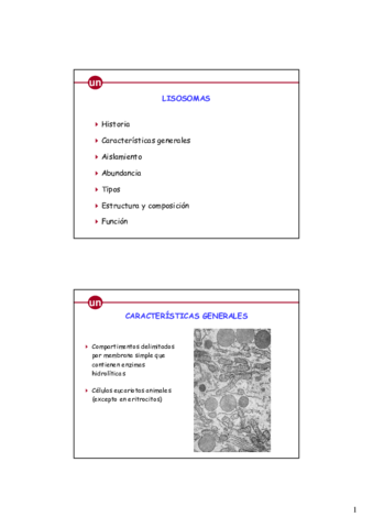 Lisosomas y peroxisomas.pdf