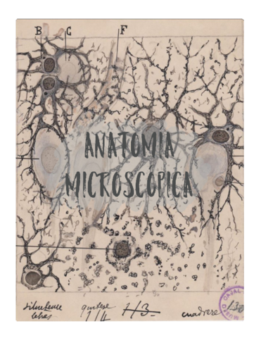 Apuntes-anatomia-microscopica.pdf