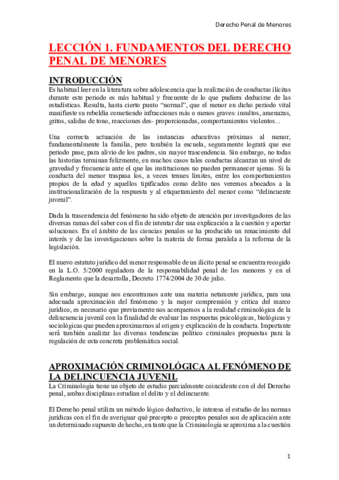 DERECHO-PENAL-DE-MENORES.pdf