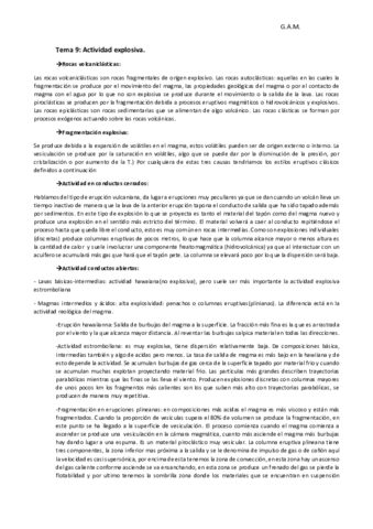 Tema 9 VULCA.pdf