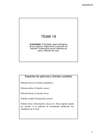 TEMA-19.pdf