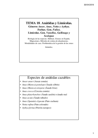 TEMA-18.pdf